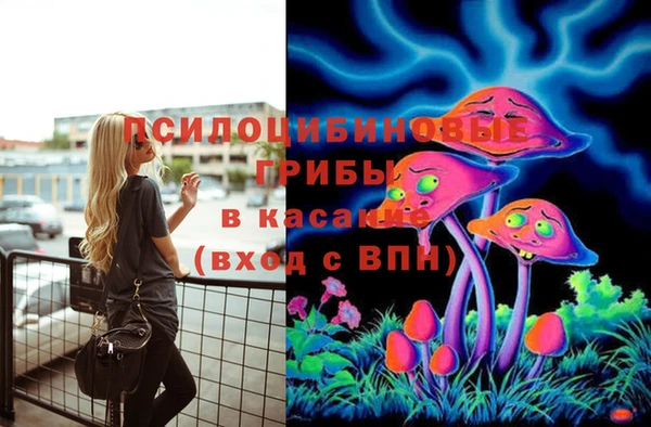 соль курить ск Нязепетровск