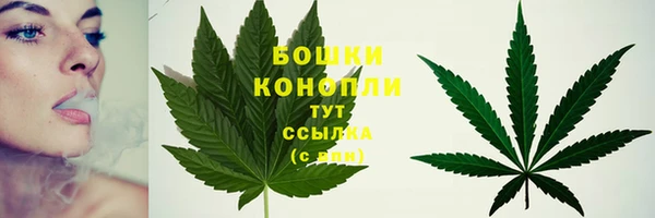 jwh Новокубанск