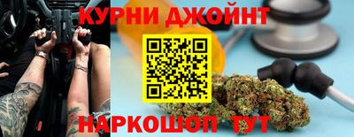 сатива Можга