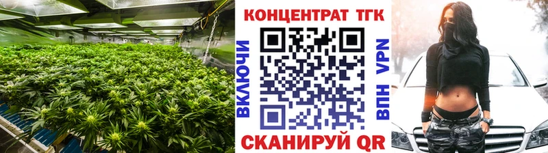 KRAKEN онион Борзя ТГК вейп с тгк