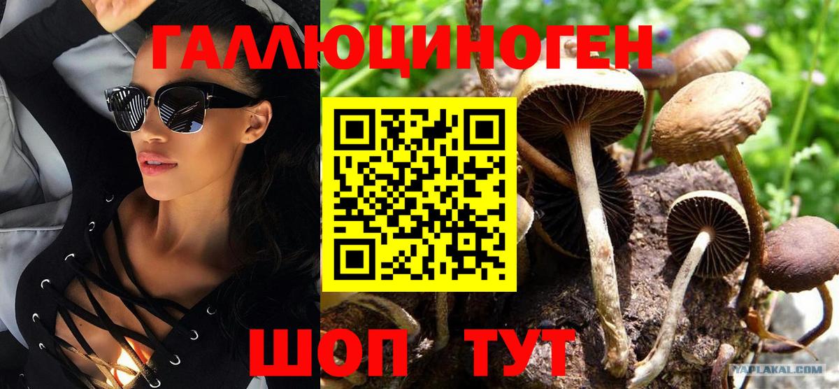 Псилоцибиновые грибы прущие грибы Борзя