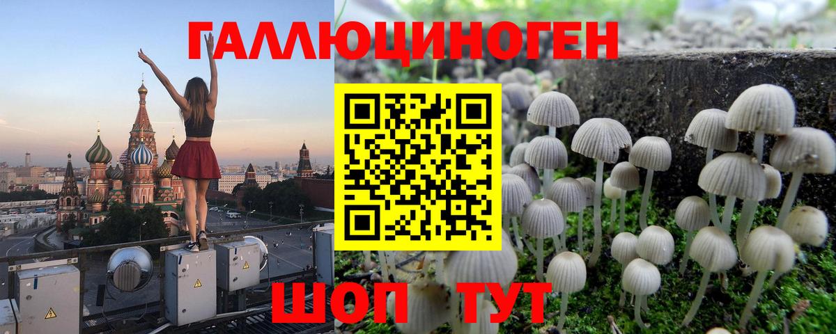 Борзя  Галлюциногенные грибы MAGIC MUSHROOMS  Вход с VPN 