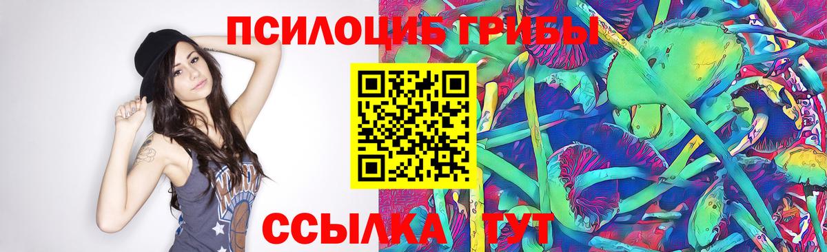 Галлюциногенные грибы Psilocybine cubensis Борзя