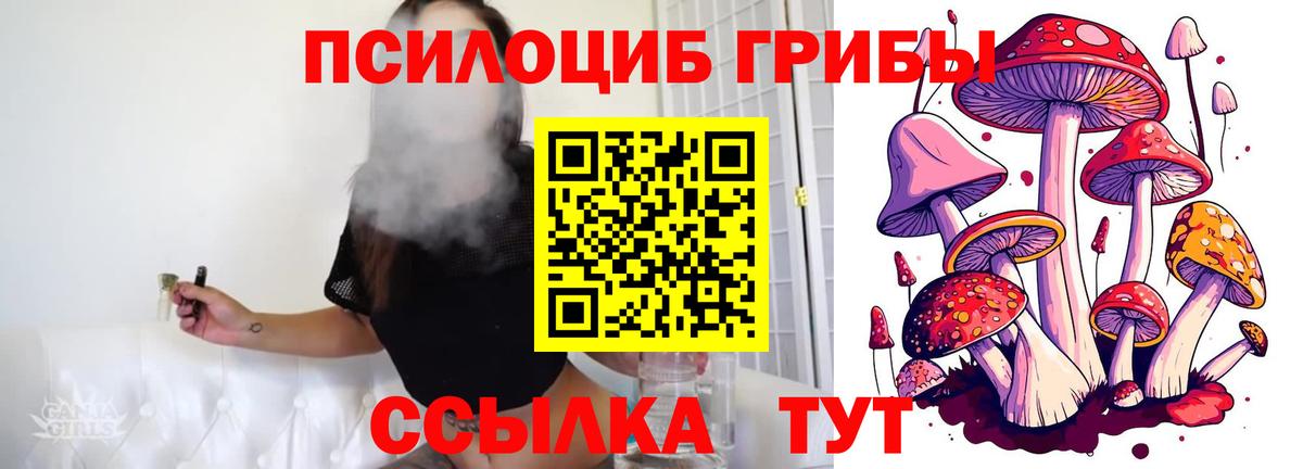 хочу   Галлюциногенные грибы Psilocybine cubensis  Борзя  Галлюциногенные грибы GOLDEN TEACHER 